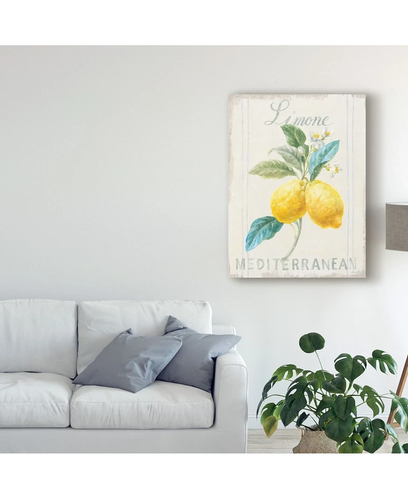 Danhui Nai Floursack Lemon Iii Canvas Art - 20" x 25"