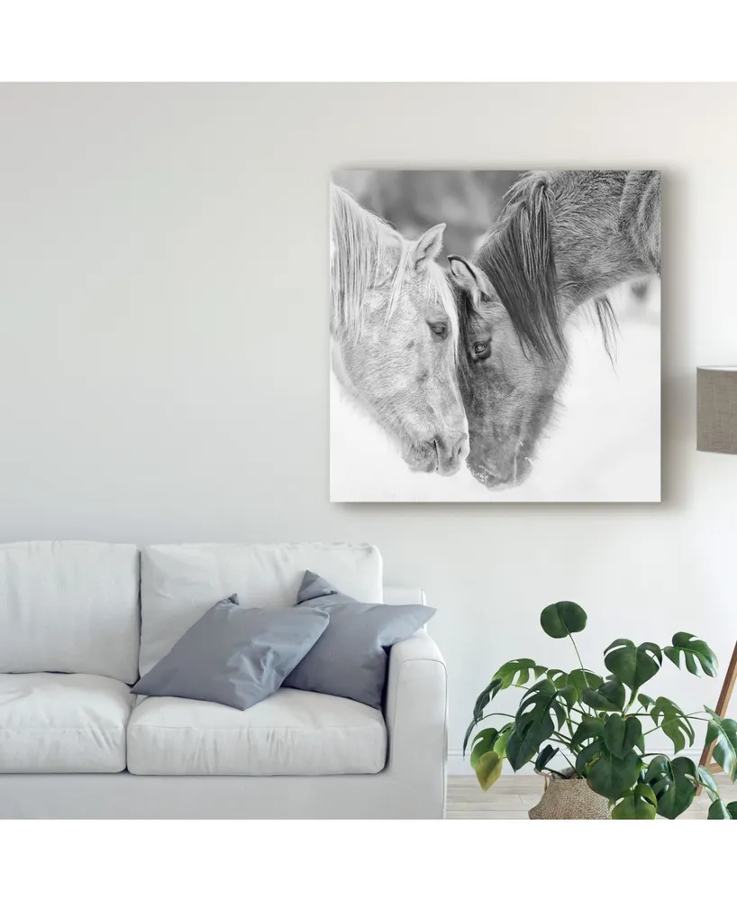 Ph Burchett Black and White Horses Vii Canvas Art