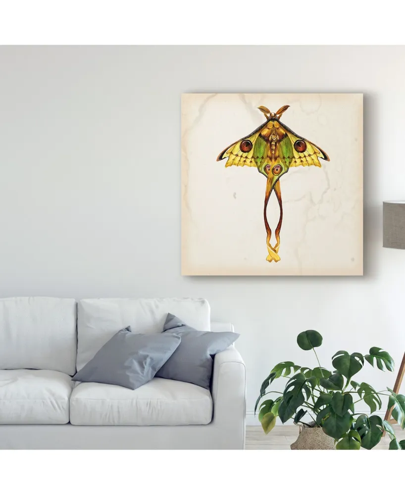 Melissa Wang Butterfly Study I Canvas Art