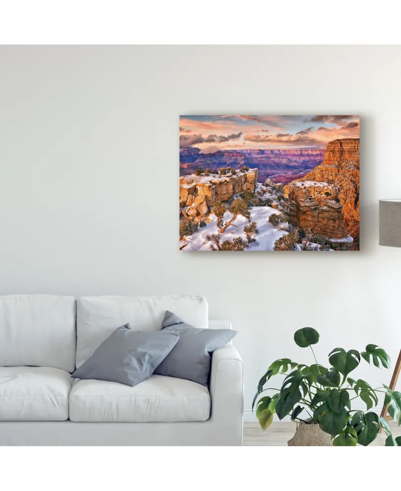 David Drost Snowy Grand Canyon V Canvas Art - 15" x 20"