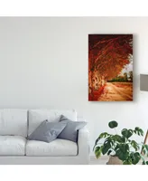 Pixie Pics Autumn Paths Canvas Art - 15" x 20"