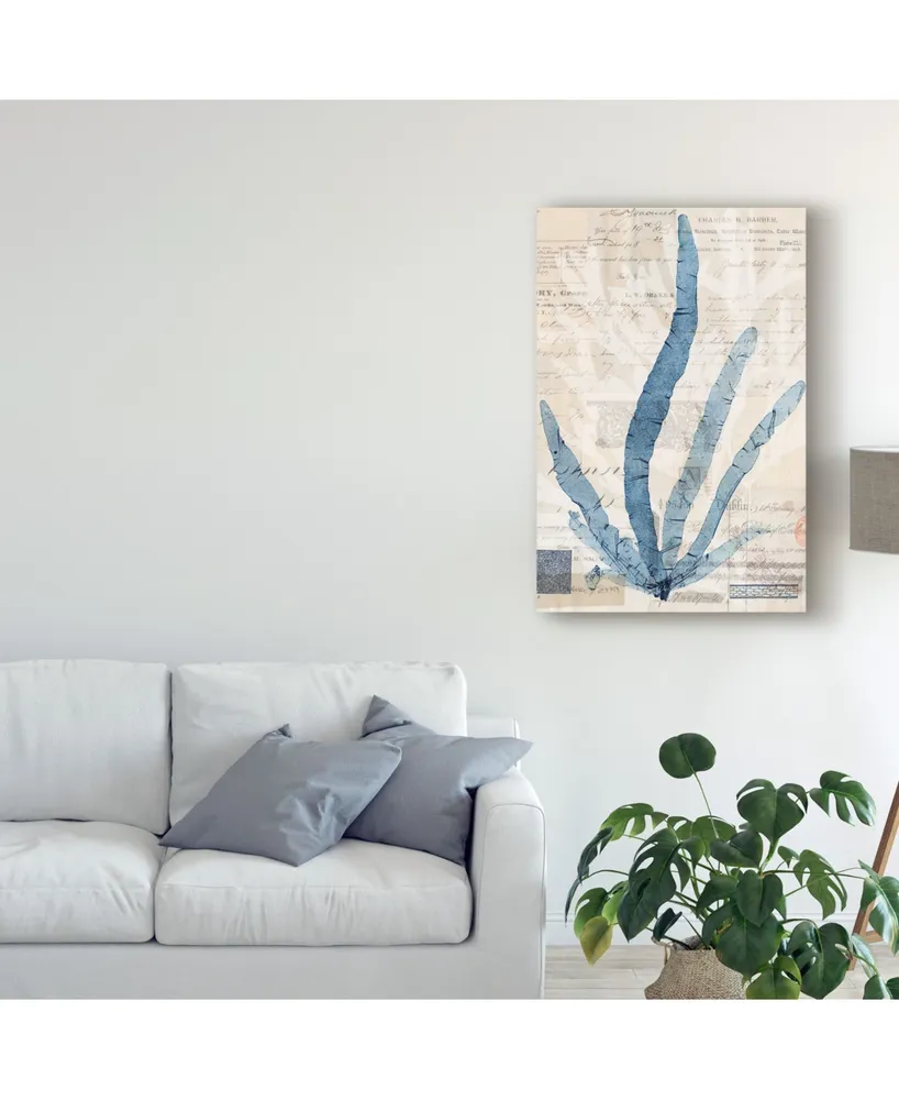 Vision Studio Seaweed Arrangement Ii Canvas Art - 20" x 25"