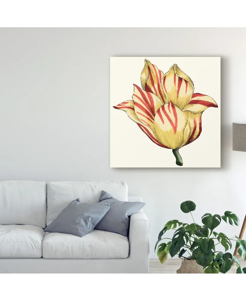 Vision Studio Tulip Garden Iii Canvas Art