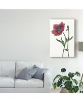 Melissa Wang Poppy Flower Ii Canvas Art