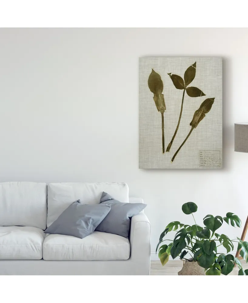 Vision Studio Pressed Leaves on Linen Iv Canvas Art