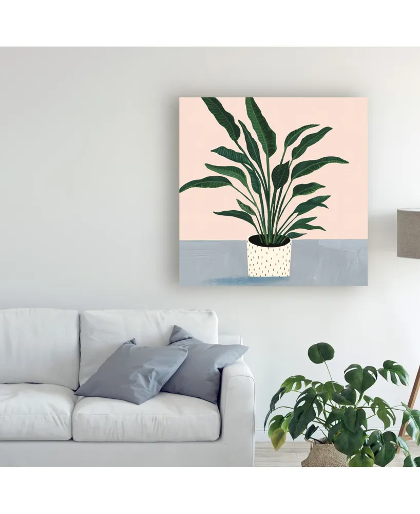 Victoria Borges Houseplant Iv Canvas Art