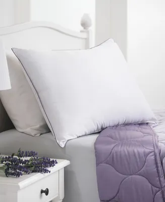 Allied Home Dream Infusion Lavender Scented Soft Touch Pillow, Standard