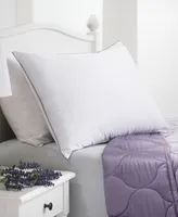 Allied Home Dream Infusion Lavender Scented Soft Touch Pillow