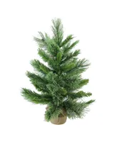 Northlight 24" Mixed Cashmere Pine Artificial Christmas Tree in Burlap Base - Unlit