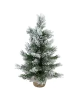 Northlight 18" Flocked Pine Artificial Christmas Tree in Burlap Base - Unlit