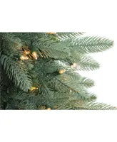 Northlight 4.5' Pre-Lit Washington Frasier Fir Slim Artificial Christmas Tree - Clear Lights