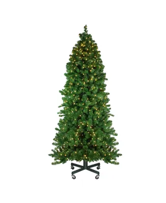 Northlight 7.5' Pre-Lit Olympia Pine Artificial Christmas Tree - Warm White Led Lights