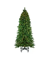 Northlight 7.5' Pre-Lit Olympia Pine Artificial Christmas Tree - Warm White Led Lights