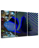 Ready2HangArt Underwater Bleus 3 Piece Wrapped Canvas Sea Life Wall Art Set, 24" x 36"
