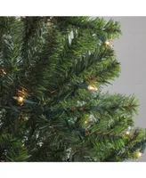 Northlight 7' Pre-Lit Balsam Pine Artificial Christmas Tree - Clear Lights