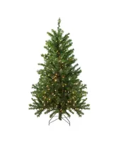 Northlight 4' Pre-Lit Canadian Pine Artificial Christmas Tree - Clear Lights