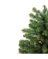 Northlight 3' Pre-Lit Led Canadian Pine Artificial Christmas Tree