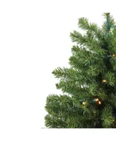 Northlight 3' Pre-Lit Led Canadian Pine Artificial Christmas Tree - Clear Lights