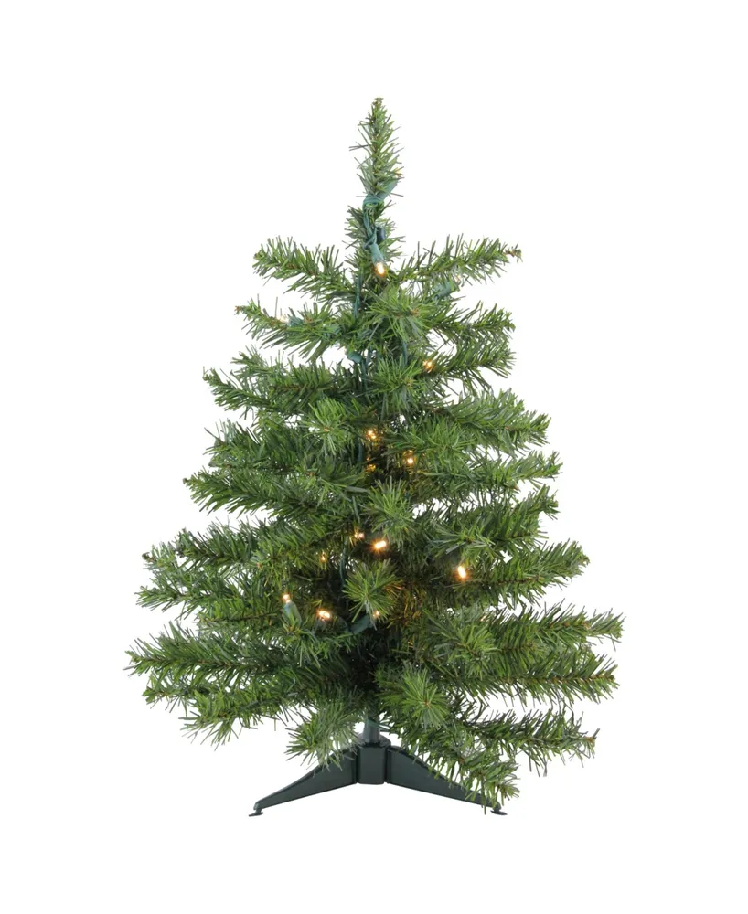 Northlight 2' Pre-Lit Led Canadian Pine Artificial Christmas Tree