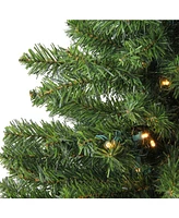 Northlight 18" Pre-Lit Led Canadian Pine Artificial Christmas Tree