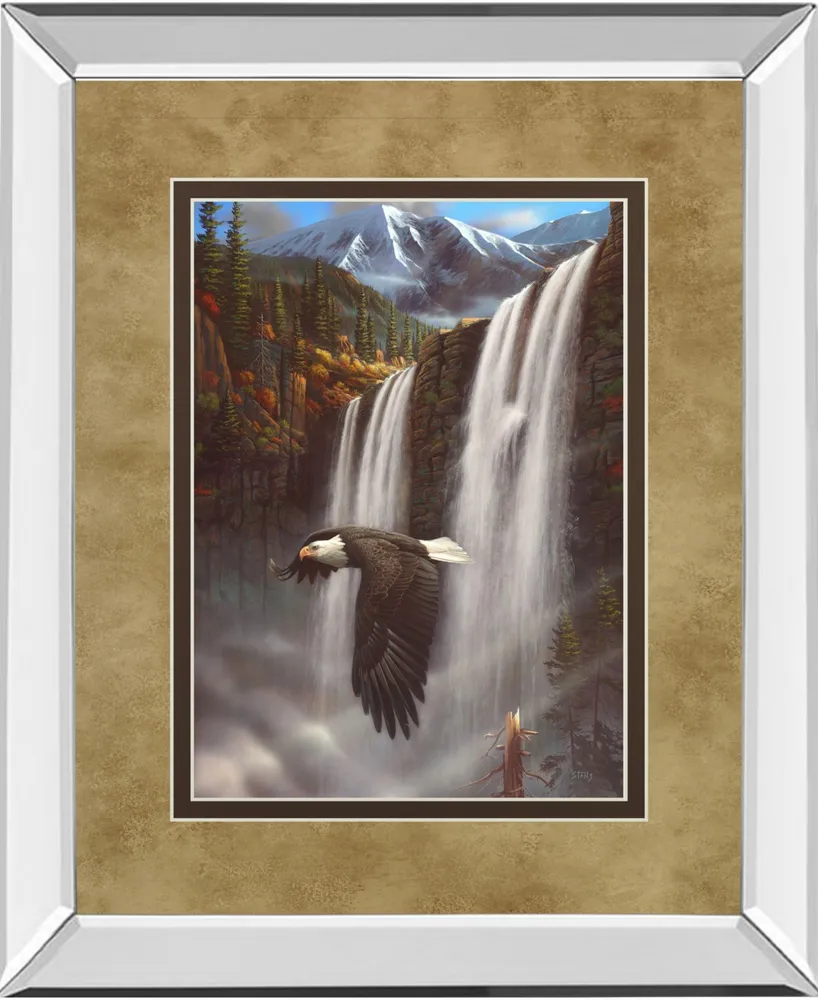 Classy Art Eagle Portrait I by Leo Stans Mirror Framed Print Wall Art, 34" x 40"