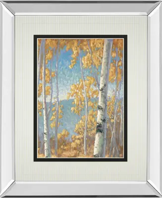 Classy Art Honey Birch Ii by John Macnab Mirror Framed Print Wall Art, 34" x 40"