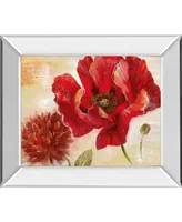 Classy Art Passion For Poppies Ii by Nan Mirror Framed Print Wall Art, 22" x 26"