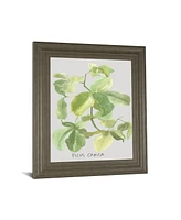 Classy Art Ficus Carica by Katrien Soeffers Framed Print Wall Art, 22" x 26"