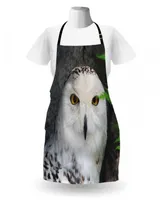 Ambesonne Wizard Apron