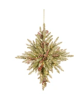 National Tree Company 32" Snowy Dunhill Fir Bethlehem Star with Battery Operated Led Lights