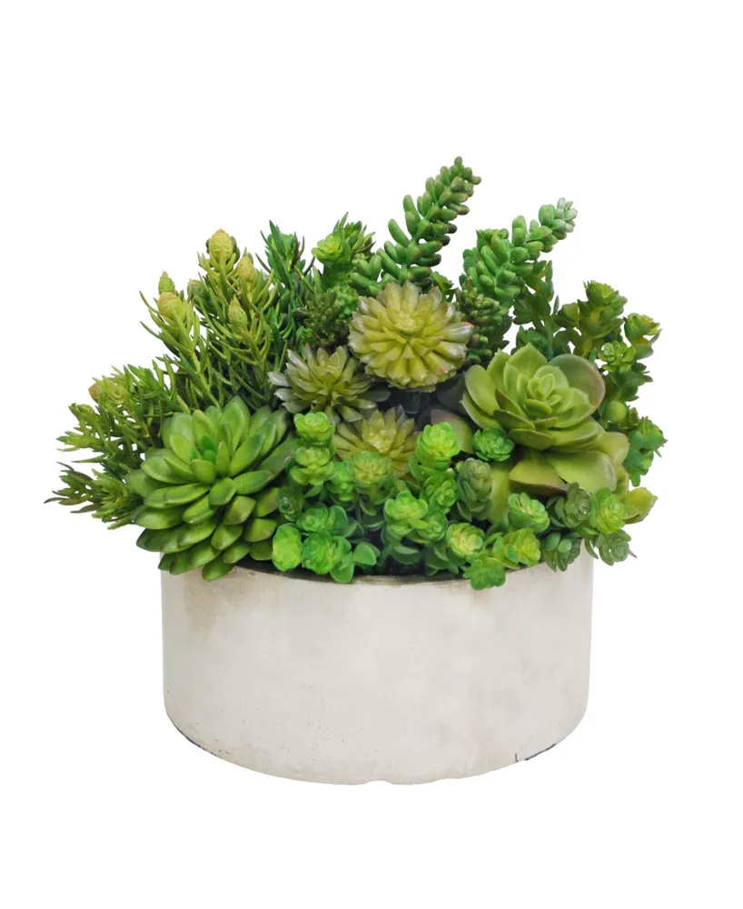 Permanent Botanicals Succulent in Planter