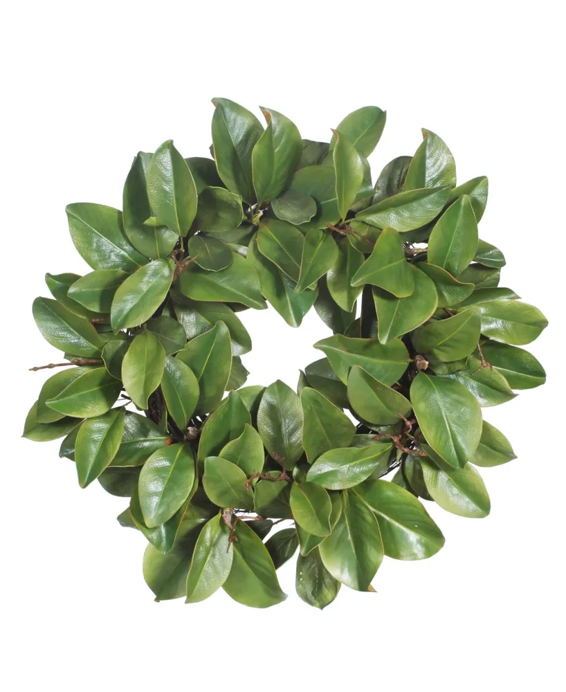 Permanent Botanicals Magnolia Leaf Twig Wreath