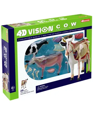 4D Master 4D Vision Cow Anatomy Model