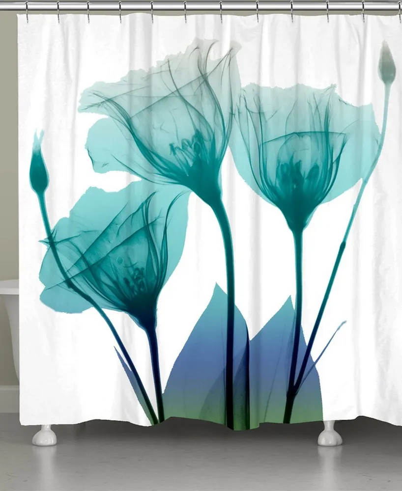 Laural Home Ombre Bloom Shower Curtain