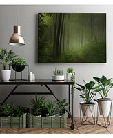 Giant Art 20" x 16" Maier - Forest Morning Museum Mounted Canvas Print