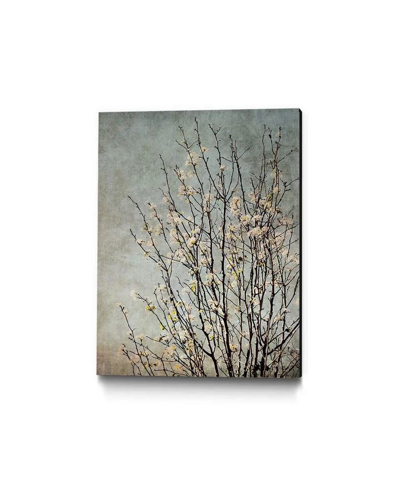 Giant Art 24" x 18" Tree Ii Museum Mounted Canvas Print