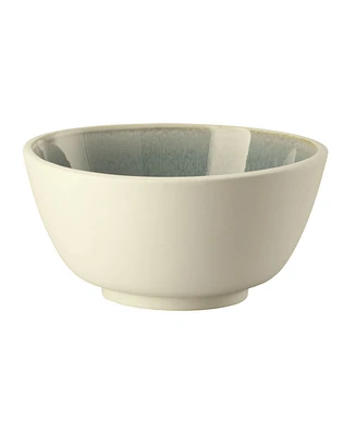 Rosenthal Junto Stoneware Cereal Bowl