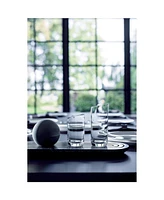 Villeroy & Boch New Moon Highball Set of 4