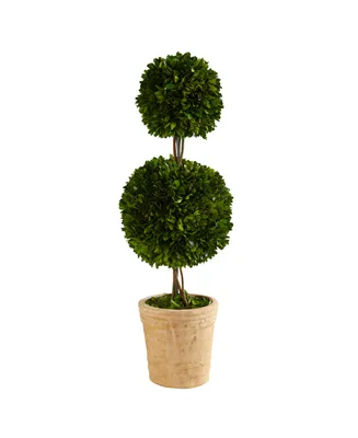 Nearly Natural 2.5ft. Preserved Boxwood Double Ball Topiary Tree in Decorative Planter