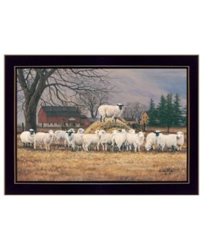 Trendy Decor 4u Wool Gathering By Bonnie Mohr Ready To Hang Framed Print Collection