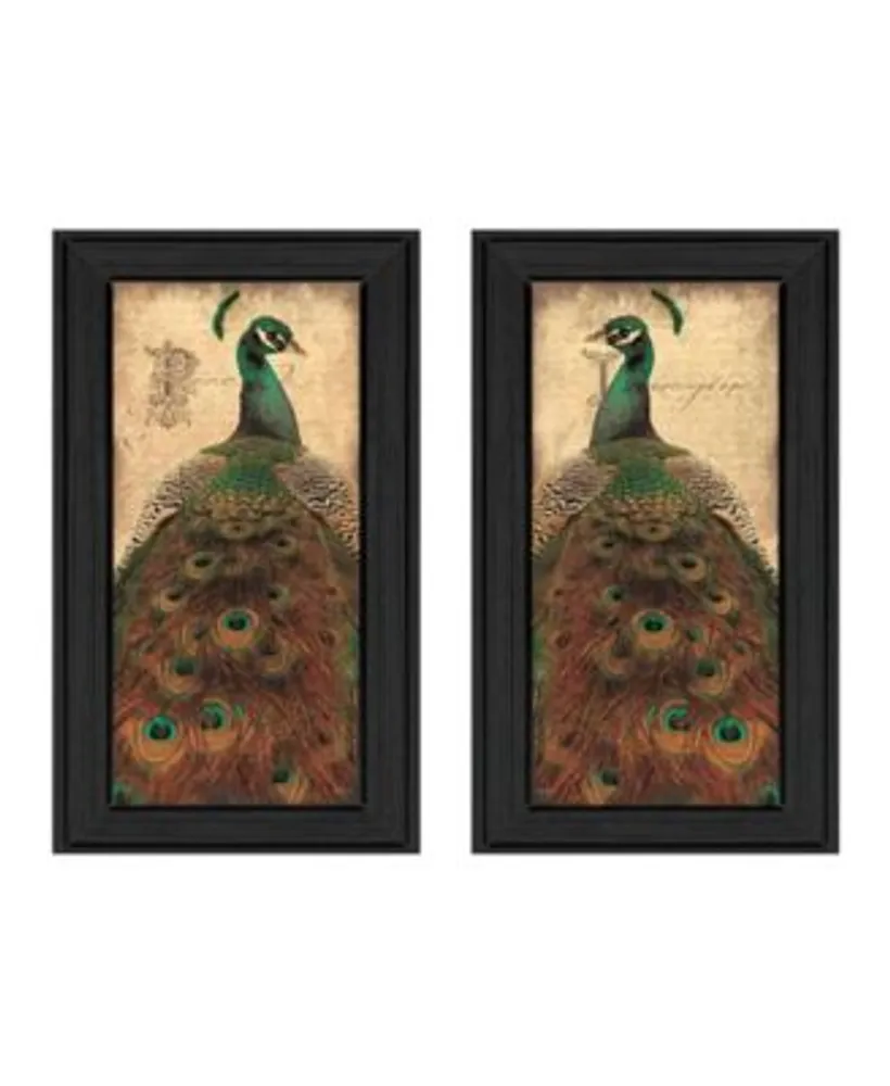 Trendy Decor 4u Peacock Collection By John Jones Printed Wall Art Ready To Hang Collection