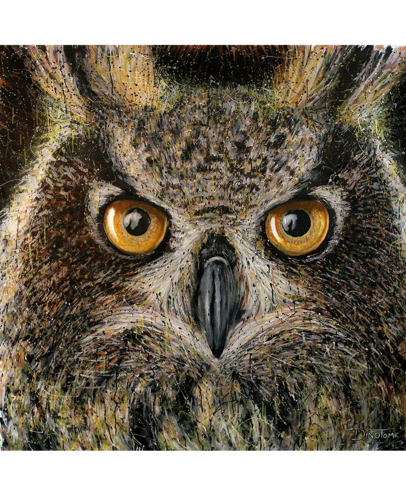 Eyes On Walls Dino Tomic Owl Splatter Museum Mounted Canvas 18" x 18"