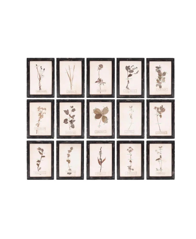 Wood Framed Wall Plaques with Dried Flower Images, Multicolor, Set of 16