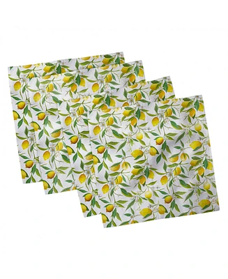 Ambesonne Nature Set of 4 Napkins