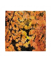 Ambesonne Fall Set of 4 Napkins, 18" x 18"