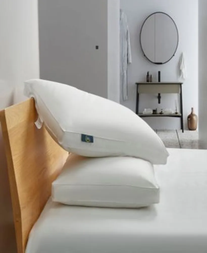Serta White Goose Feather Down Fiber Side Sleeper 2 Pack Pillows