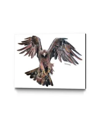 Eyes On Walls Dino Tomic Golden Eagle Museum Mounted Canvas
