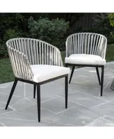 Southern Enterprises Anisa Outdoor Chairs with Cushions 2 Piece Set