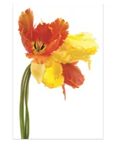 Empire Art Direct Orange Yellow Parrot Tulip on White Frameless Free Floating Tempered Glass Panel Graphic Wall Art, 48" x 32" x 0.2"