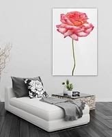 Empire Art Direct Pink Rose on White Frameless Free Floating Tempered Glass Panel Graphic Wall Art, 48" x 32" x 0.2"